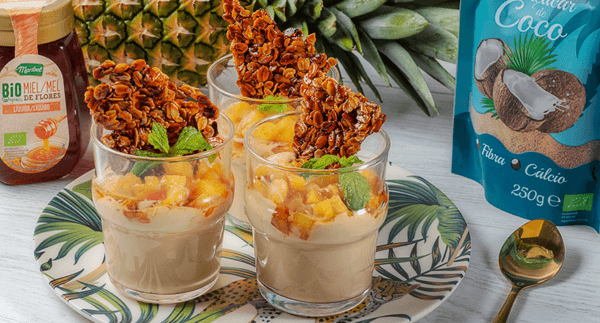 Receita Vegetariana - Mousse de Côco e Abacaxi